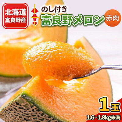 2026年先行予約 【のし付き】富良野メロン　1.6kg～1.8kg未満　1玉入り【1287203】