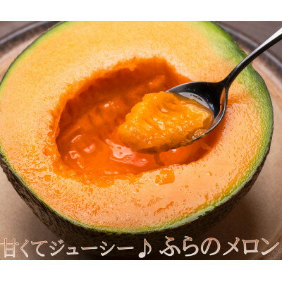 【ふるさと納税】2026年先行予約 【のし付き】富良野メロン　1.6kg～1.8kg未満　1玉入り【1287203】 サムネイル2
