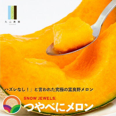 【ふるさと納税】赤肉・青肉メロン 2玉セット(計4kg以上)_ メロン めろん フルーツ くだもの 果物 ふるーつ 富良野 北海道 赤肉 青肉 セット 詰合せ 食べ比べ 国産 産地直送 ギフト 贈答 高糖度 常温 2玉 人気 美味しい 【配送不可地域：離島】【1435230】 サムネイル3