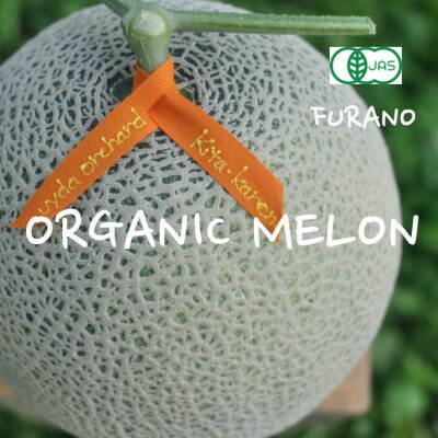 オーガニックメロン 1玉入り箱 2.1kg以上 赤肉メロン【2026年7月上旬より順次発送】【1445851】