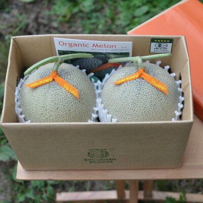【ふるさと納税】オーガニックメロン 2玉入り箱 3.8kg以上 赤肉メロン【2026年7月上旬より順次発送】【1445852】 サムネイル2