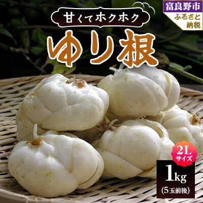 2026年秋発送開始　北海道 富良野産 2Lサイズ ゆり根 1kg(5玉前後)【1460023】