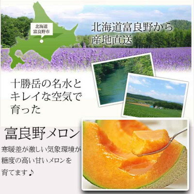 【ふるさと納税】2026年先行予約 糖度15度前後 富良野メロン　4Lサイズ(2.5kg以上)　1玉入り【1468342】 サムネイル2
