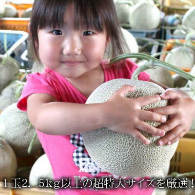 【ふるさと納税】2026年先行予約 糖度15度前後 富良野メロン　4Lサイズ(2.5kg以上)　1玉入り【1468342】 サムネイル3