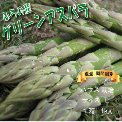 【2026年発送】【数量・期間】ふらの産　グリーン アスパラ　ハウス栽培　1kgサイズL【配送不可地域：離島】【1470180】