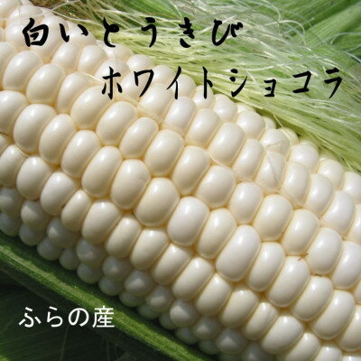【ふるさと納税】【2026年発送】【数量・期間限定】ふらの産　ホワイト　とうきび　10本　サイズ2L【配送不可地域：離島】【1470193】 - 画像2