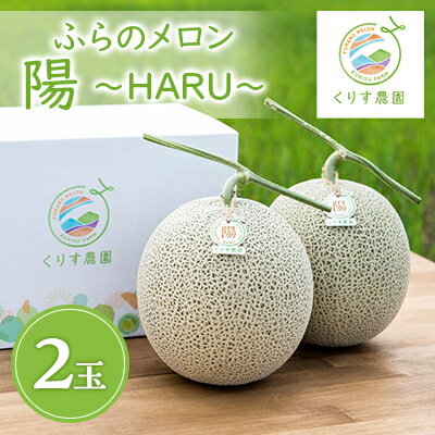 【2026年発送】ふらのメロン「陽 ～HARU～」大玉(2.3kg以上)×2玉　(赤肉)富良野メロン_ メロン めろん 富良野メロン 赤肉 フルーツ くだもの 果物 ふるーつ 青果 北海道 富良野 産直 産地直送 甘い 高糖度 贈答 ギフト 常温 季節限定 人気 【1478650】