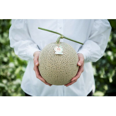 【ふるさと納税】【2026年発送】ふらのメロン「陽 ～HARU～」大玉(2.3kg以上)×2玉　(赤肉)富良野メロン_ メロン めろん 富良野メロン 赤肉 フルーツ くだもの 果物 ふるーつ 青果 北海道 富良野 産直 産地直送 甘い 高糖度 贈答 ギフト 常温 季節限定 人気 【1478650】 サムネイル2