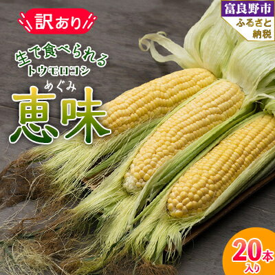 2026年先行予約　生で食べられるトウモロコシ　訳あり　恵味(めぐみ)　20本入り【配送不可地域：離島】【1483447】