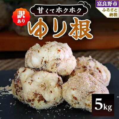 2026年秋発送開始【訳あり】北海道富良野産 ゆり根 5kg【1485401】