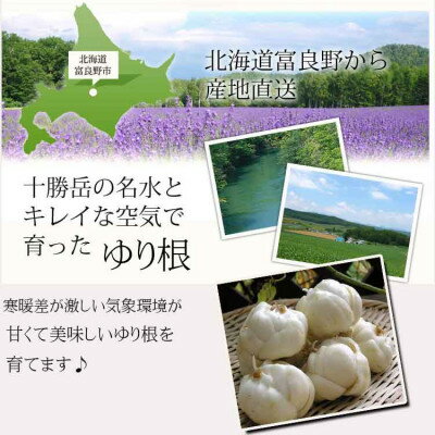 【ふるさと納税】2026年秋発送開始【訳あり】北海道富良野産 ゆり根 5kg【1485401】 - 画像3