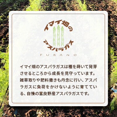 【ふるさと納税】【2026年発送】イマイ畑のアスパラガス 2kg【配送不可地域：離島】【1487751】 - 画像2