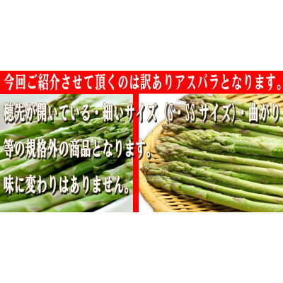 【ふるさと納税】2026年先行予約 北海道 富良野産 訳あり グリーンアスパラ 1kg (Sサイズ・SSサイズ)_ グリーンアスパラ アスパラ 野菜 訳あり 北海道 富良野 人気 おすすめ 送料無料 産地直送 産直 1kg 【配送不可地域：離島】【1490694】 - 画像2