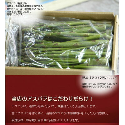 【ふるさと納税】2026年先行予約 北海道 富良野産 訳あり グリーンアスパラ 1kg (Sサイズ・SSサイズ)_ グリーンアスパラ アスパラ 野菜 訳あり 北海道 富良野 人気 おすすめ 送料無料 産地直送 産直 1kg 【配送不可地域：離島】【1490694】 - 画像3