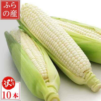 2026年先行予約　北海道富良野産 生で食べられる白いとうもろこし ピュアホワイト 訳あり 10本【配送不可地域：離島】【1498213】