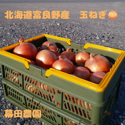 【2026年10月以降発送】北海道　富良野産　玉ねぎ　約20kg【1501771】