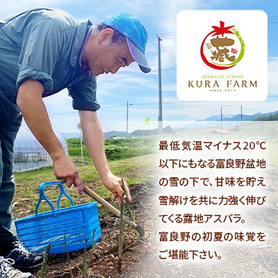 【ふるさと納税】【2026年発送】ふらの産　朝どり露地グリーンアスパラガス(LMサイズ混合 約2kg)〈藏ファーム〉【配送不可地域：離島】【1502821】 - 画像2
