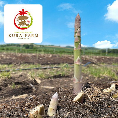 【ふるさと納税】【2026年発送】富良野市産 アスパラ 緑・紫(LMサイズ混合 計1.5kg) 〈藏ファーム〉【配送不可地域：離島】【1505724】 - 画像3