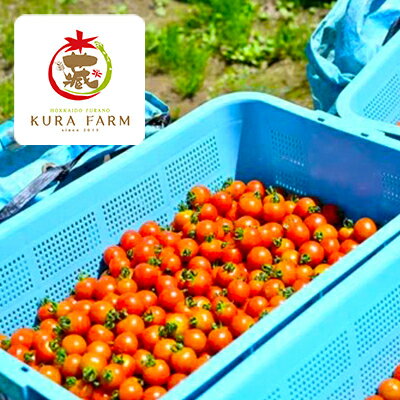 【ふるさと納税】【先行予約　2026年発送】北海道ふらの産　完熟ミニトマト〈キャロル10〉約3kg サイズ混合【配送不可地域：離島】【1505747】 - 画像3