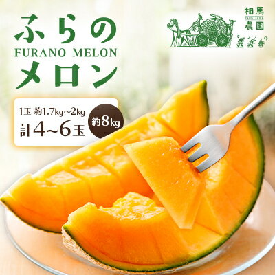 【2026年発送】ふらのメロン 4～6玉 約8kg 赤肉メロン 農家直送 富良野メロン 相馬農園【1506322】