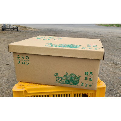 【ふるさと納税】【2026年発送】ふらのメロン 4～6玉 約8kg 赤肉メロン 農家直送 富良野メロン 相馬農園【1506322】 サムネイル2