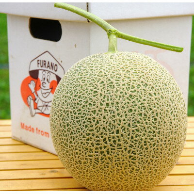 【2026年発送　先行予約】富良野メロン1.3kg～1,5kg1玉入り【1511792】