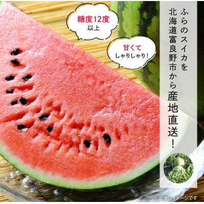 【ふるさと納税】2026年先行予約　ふらのスイカ　2Lサイズ(6kg)　1玉_ スイカ 西瓜 すいか フルーツ くだもの 果物 ふるーつ 青果 北海道 富良野 ふらのスイカ 産直 産地直送 甘い 高糖度 贈答 ギフト 冷蔵 季節限定 人気 【配送不可地域：離島】【1521088】 サムネイル3