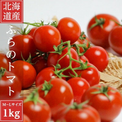 2026年先行予約 北海道 完熟 富良野トマト (ミニトマト) 1kg詰め【配送不可地域：離島】【1522220】