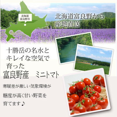 【ふるさと納税】2026年先行予約 北海道 完熟 富良野トマト (ミニトマト) 1kg詰め【配送不可地域：離島】【1522220】 - 画像2