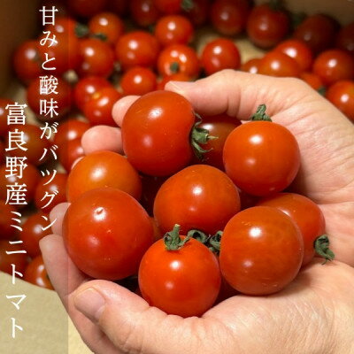 【ふるさと納税】2026年先行予約 北海道 完熟 富良野トマト (ミニトマト) 1kg詰め【配送不可地域：離島】【1522220】 - 画像3