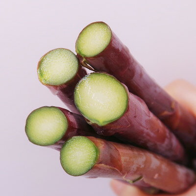 【ふるさと納税】【2026年発送】富良野産　グリーン&ラベンダーアスパラガス(2Lサイズ) 混合1kg【配送不可地域：離島】【1535560】 - 画像2