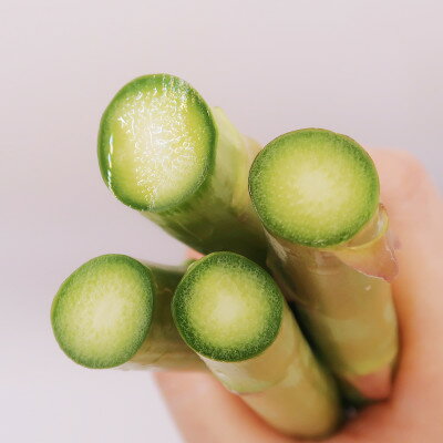 【ふるさと納税】【2026年発送】富良野産　グリーン&ラベンダーアスパラガス(2Lサイズ) 混合1kg【配送不可地域：離島】【1535560】 - 画像3