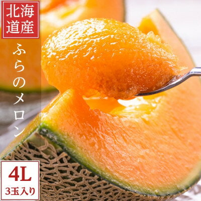 2026年先行予約 糖度15度前後 富良野メロン　4Lサイズ(2.5kg以上)　3玉入り【1542474】