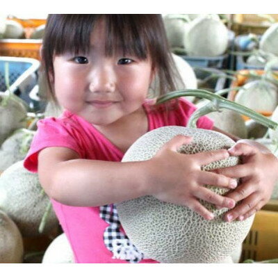 【ふるさと納税】2026年先行予約 糖度15度前後 富良野メロン　4Lサイズ(2.5kg以上)　3玉入り【1542474】 サムネイル2