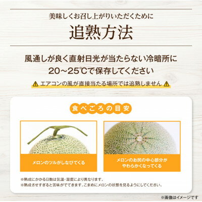 【ふるさと納税】2026年先行予約 糖度15度前後 富良野メロン　4Lサイズ(2.5kg以上)　3玉入り【1542474】 サムネイル3