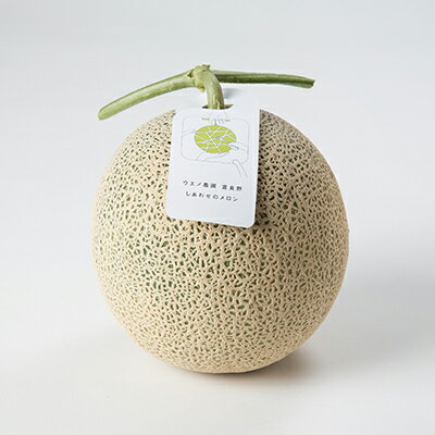 【ふるさと納税】【先行予約　2026年発送】ふらの産　しあわせのメロン大玉(赤肉×1玉 約2.3kg)_ メロン めろん 富良野メロン 富良野めろん 北海道 富良野市 果物 フルーツ くだもの ふるーつ 青果 果実 甘い 旬 専門店 希少 品種 ギフト 贈答 糖度 定番 【1253130】 サムネイル2