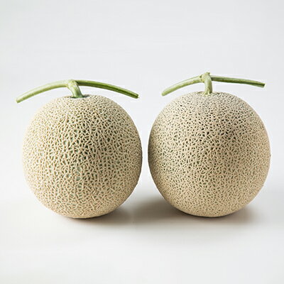 【ふるさと納税】【先行予約　2026年発送】ふらの産　しあわせのメロン(赤肉×2玉 計約4kg)_ メロン めろん 富良野メロン 富良野めろん 北海道 富良野市 果物 フルーツ くだもの ふるーつ 青果 果実 甘い 旬 専門店 希少 品種 ギフト 贈答 糖度 【1253236】 サムネイル2