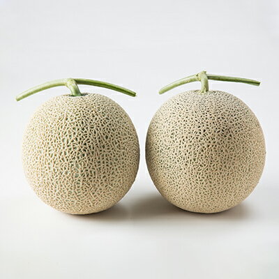 【ふるさと納税】【先行予約　2026年発送】しあわせのメロン キングメルティ(青肉×2玉 計約3.2kg)_ メロン 果物 くだもの フルーツ 北海道 富良野 青肉 大玉 富良野メロン 贈答 ギフト 送料無料 お取り寄せ 人気 おすすめ 【1254166】 サムネイル2