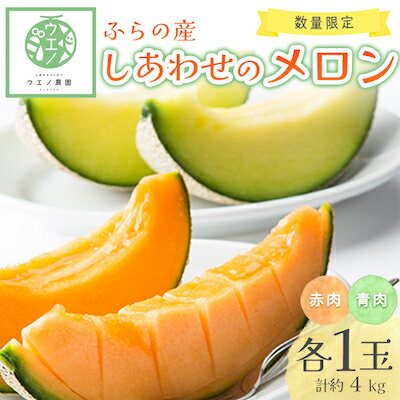 【先行予約　2026年発送】ふらの産　しあわせのメロン(赤肉1玉・青肉1玉 計約4kg)_ メロン めろん 富良野メロン 富良野産 ふらの 北海道 甘い 赤肉 青肉 セット 2玉 食べ比べ フルーツ 果物 おやつ 【1254167】