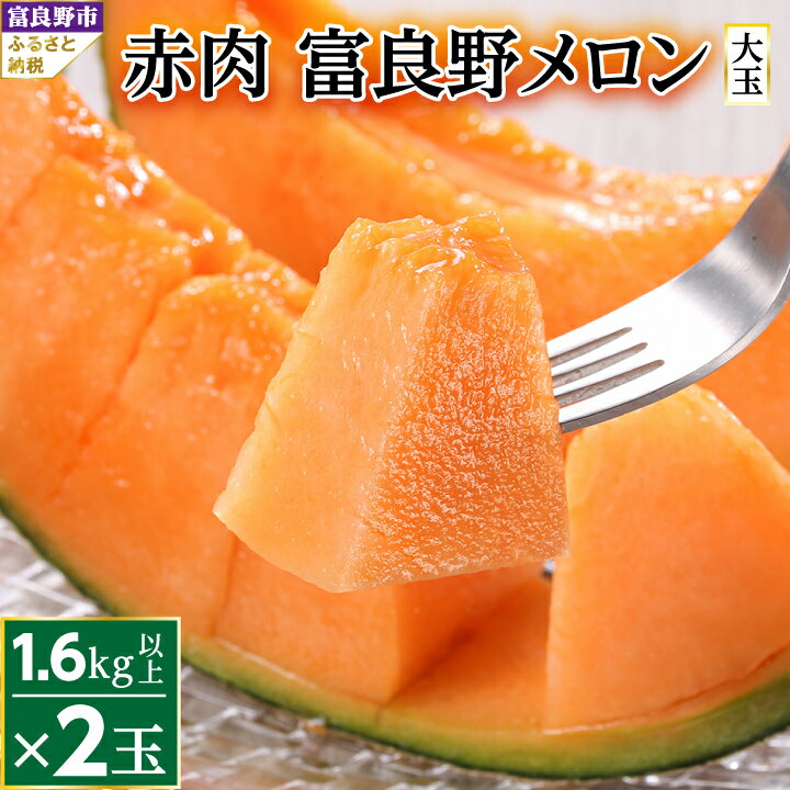 【先行予約　2026年発送】富良野メロン赤肉　厳選　2玉(大玉) 　富良野市人気のおいしいフルーツ_ メロン ふらのメロン フルーツ 果物 くだもの 北海道 富良野市 富良野 ギフト プレゼント 人気 美味しい 赤肉 赤肉メロン 贈答 国産 産地直送【1257988】
