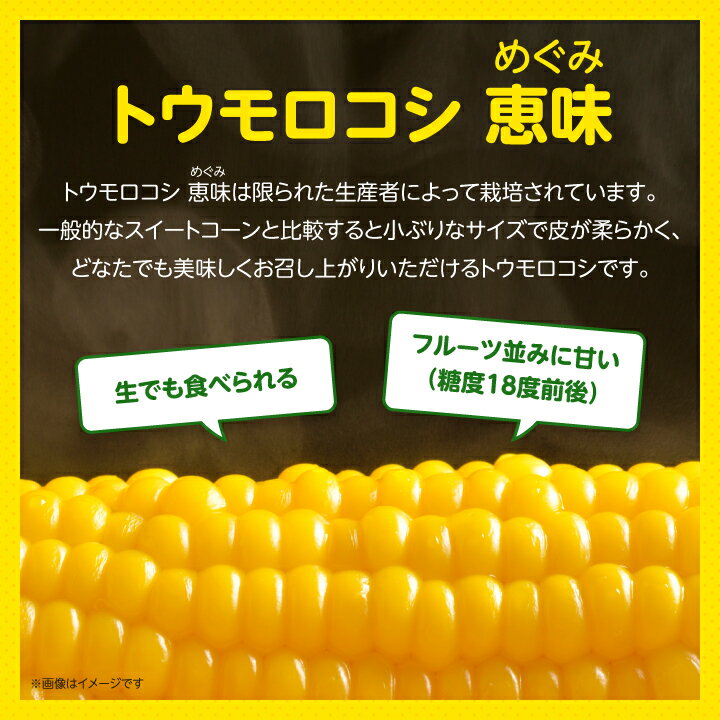【ふるさと納税】2026年先行予約　「生」で食べられる!北海道富良野産　トウモロコシ　恵味(めぐみ)　10本入り_ トウモロコシ 生で食べられる 北海道 富良野産 とうもろこし 恵味 めぐみ 10本入り ギフト プレゼント 贈り物 【配送不可地域：離島】【1274975】 - 画像2