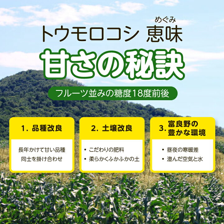 【ふるさと納税】2026年先行予約　「生」で食べられる!北海道富良野産　トウモロコシ　恵味(めぐみ)　10本入り_ トウモロコシ 生で食べられる 北海道 富良野産 とうもろこし 恵味 めぐみ 10本入り ギフト プレゼント 贈り物 【配送不可地域：離島】【1274975】 - 画像3