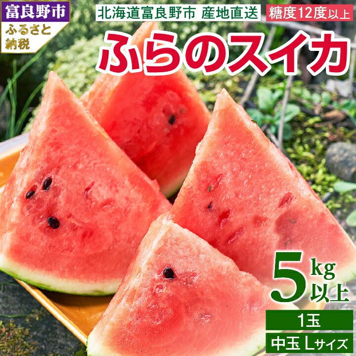 2026年先行予約 ふらのスイカ 5kg以上 1玉_ スイカ 西瓜 すいか フルーツ くだもの 果物 ふるーつ 青果 北海道 富良野 ふらのスイカ 産直 産地直送 甘い 高糖度 贈答 ギフト 冷蔵 季節限定 人気 【配送不可地域：離島】【1278448】