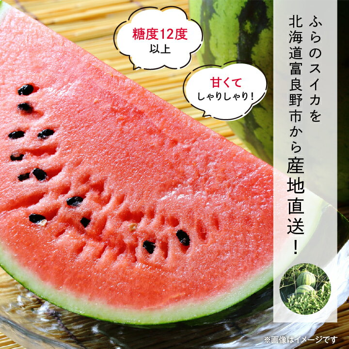 【ふるさと納税】2026年先行予約 ふらのスイカ 5kg以上 1玉_ スイカ 西瓜 すいか フルーツ くだもの 果物 ふるーつ 青果 北海道 富良野 ふらのスイカ 産直 産地直送 甘い 高糖度 贈答 ギフト 冷蔵 季節限定 人気 【配送不可地域：離島】【1278448】 サムネイル2