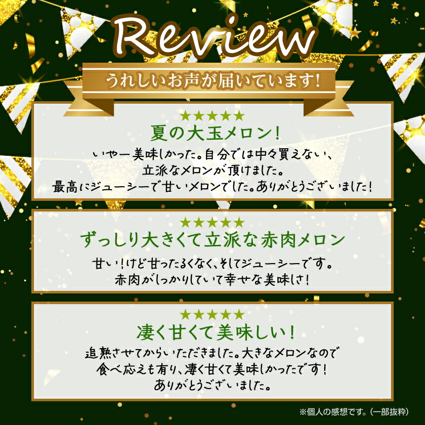 【ふるさと納税】【2026年発送】富良野メロン『厳選』大玉約1.8kg以上×2玉入_ メロン ふらのメロン フルーツ 果物 くだもの 北海道 富良野市 富良野 人気 美味しい ギフト プレゼント 【1286285】 サムネイル2
