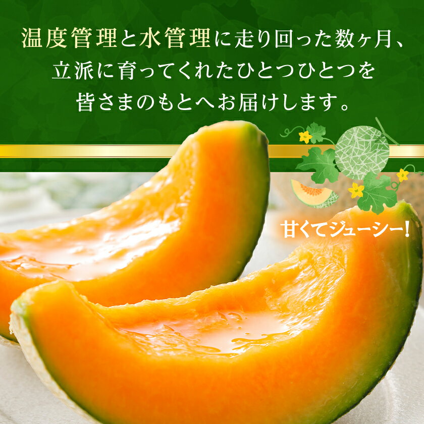 【ふるさと納税】【2026年発送】富良野メロン『厳選』大玉約1.8kg以上×2玉入_ メロン ふらのメロン フルーツ 果物 くだもの 北海道 富良野市 富良野 人気 美味しい ギフト プレゼント 【1286285】 サムネイル3