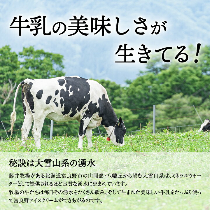 【ふるさと納税】富良野アイスクリーム20個(5種×4個)_ アイス カップ 北海道 スイーツ デザート 【 バニラ メロン ラベンダー チーズ ミルクチョコ 】 食べ比べ 詰め合わせ セット 人気 ランキング 送料無料 【配送不可地域：離島】【1353904】 - 画像2