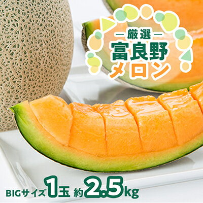 【2026年発送】北海道富良野メロン『厳選』BIGサイズ1玉(約2.5kg)_ メロン 果物 くだもの フルーツ 北海道 富良野 赤肉 大玉 富良野メロン 贈答 ギフト 送料無料 お取り寄せ 人気 おすすめ 【1286284】