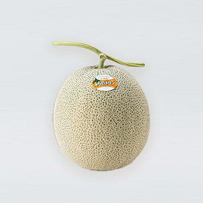 【ふるさと納税】【2026年発送】北海道富良野メロン『厳選』BIGサイズ1玉(約2.5kg)_ メロン 果物 くだもの フルーツ 北海道 富良野 赤肉 大玉 富良野メロン 贈答 ギフト 送料無料 お取り寄せ 人気 おすすめ 【1286284】 サムネイル2