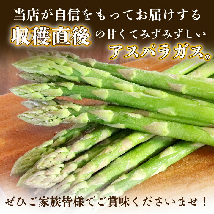 【ふるさと納税】2026年先行予約　北海道富良野産　グリーンアスパラ・ホワイトアスパラセット 計1kg(M～L混合)_ アスパラ アスパラガス 野菜 北海道 富良野 新鮮 旬 採れたて 産地直送 国産 お取り寄せ ふるさと 人気 【配送不可地域：離島】【1284522】 - 画像3